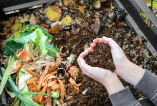 18 Easy tips To Create An Eco Garden